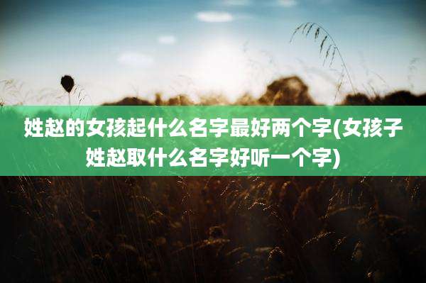 姓赵的女孩起什么名字最好两个字(女孩子姓赵取什么名字好听一个字)