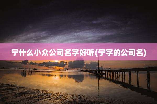 宁什么小众公司名字好听(宁字的公司名)