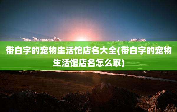 带白字的宠物生活馆店名大全(带白字的宠物生活馆店名怎么取)
