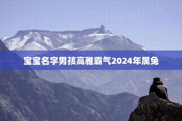 宝宝名字男孩高雅霸气2024年属兔