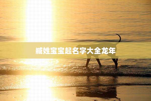 臧姓宝宝起名字大全龙年