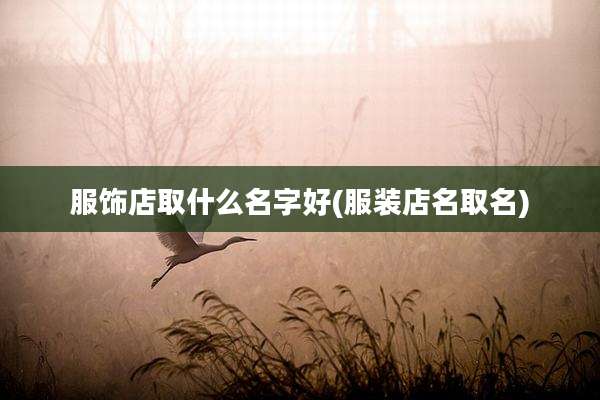 服饰店取什么名字好(服装店名取名)