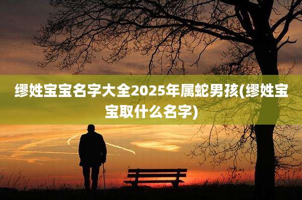 缪姓宝宝名字大全2025年属蛇男孩(缪姓宝宝取什么名字)