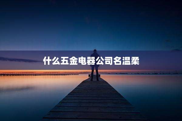 什么五金电器公司名温柔