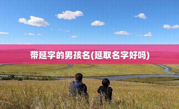 带延字的男孩名(延取名字好吗)