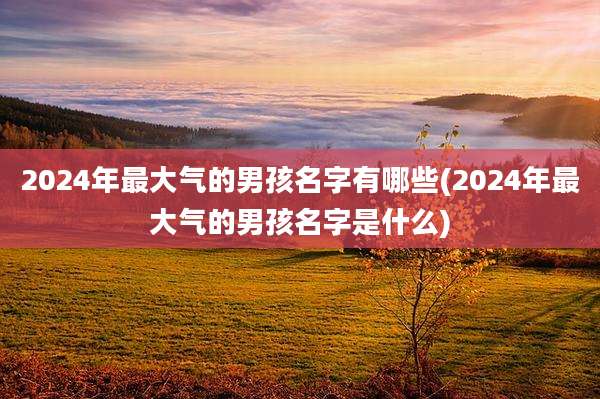 2024年最大气的男孩名字有哪些(2024年最大气的男孩名字是什么)