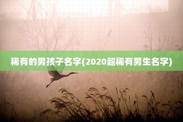 稀有的男孩子名字(2020超稀有男生名字)