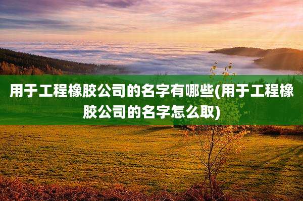 用于工程橡胶公司的名字有哪些(用于工程橡胶公司的名字怎么取)