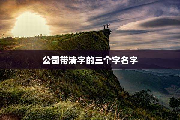公司带清字的三个字名字