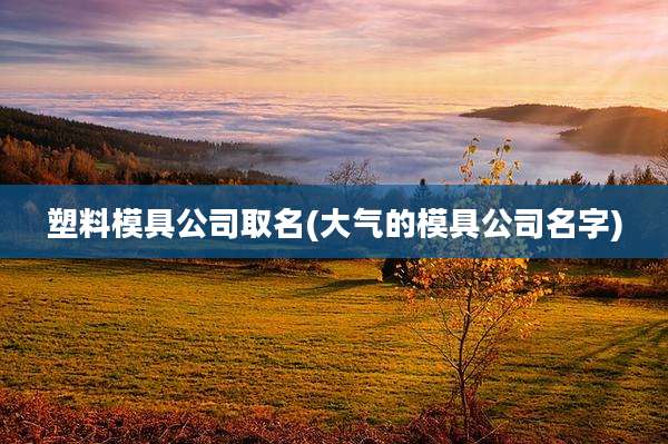 塑料模具公司取名(大气的模具公司名字)