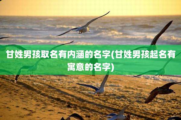 甘姓男孩取名有内涵的名字(甘姓男孩起名有寓意的名字)