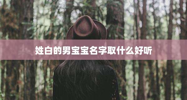 姓白的男宝宝名字取什么好听