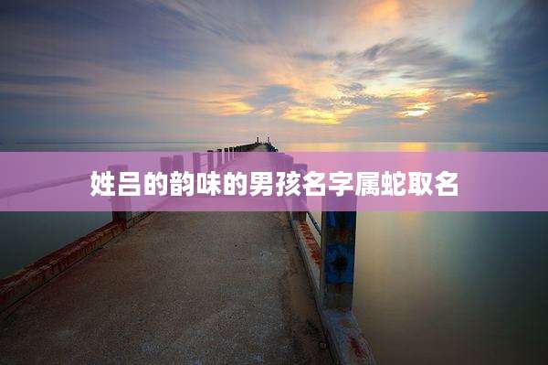 姓吕的韵味的男孩名字属蛇取名