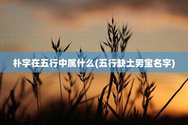 朴字在五行中属什么(五行缺土男宝名字)