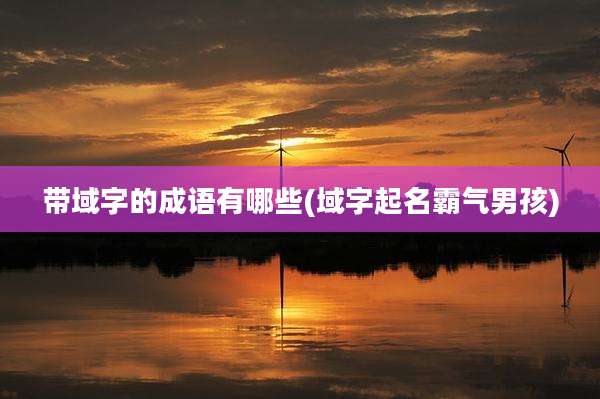 带域字的成语有哪些(域字起名霸气男孩)