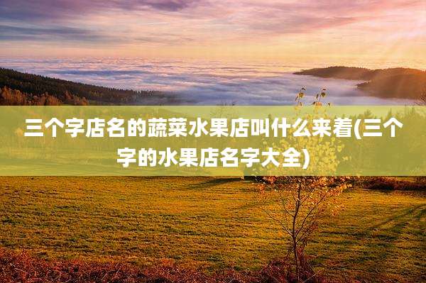 三个字店名的蔬菜水果店叫什么来着(三个字的水果店名字大全)