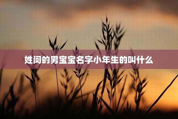 姓闵的男宝宝名字小年生的叫什么