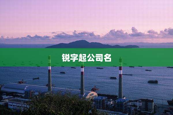 锐字起公司名
