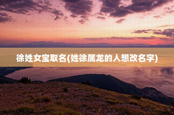 徐姓女宝取名(姓徐属龙的人想改名字)