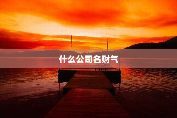 什么公司名财气