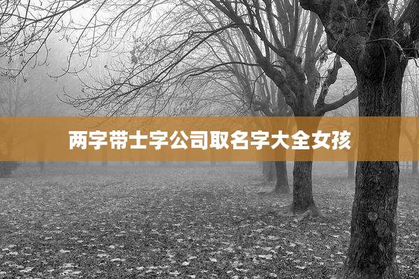 两字带士字公司取名字大全女孩