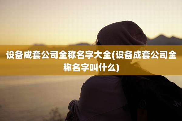 设备成套公司全称名字大全(设备成套公司全称名字叫什么)