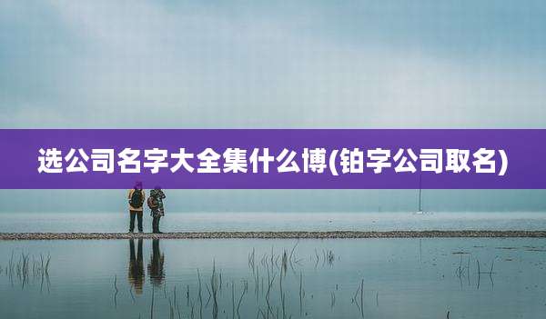 选公司名字大全集什么博(铂字公司取名)