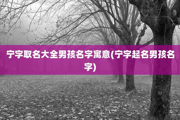 宁字取名大全男孩名字寓意(宁字起名男孩名字)