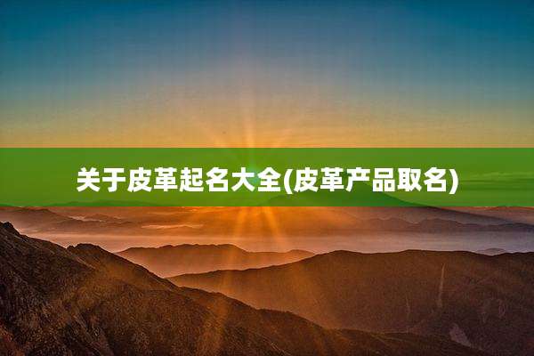 关于皮革起名大全(皮革产品取名)