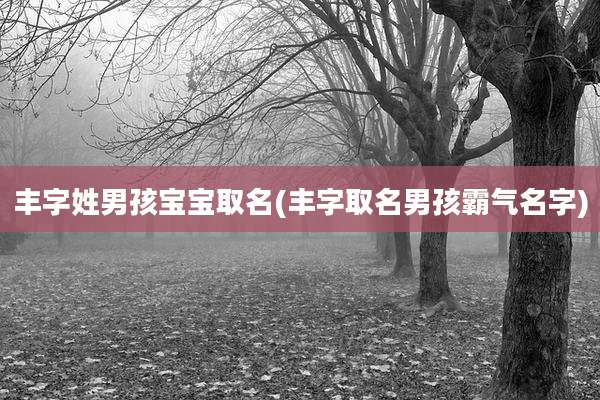 丰字姓男孩宝宝取名(丰字取名男孩霸气名字)
