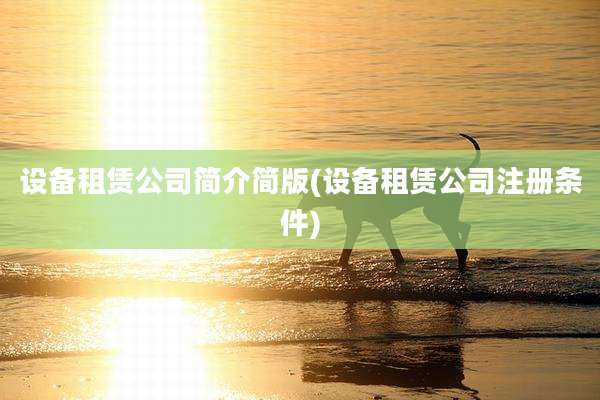 设备租赁公司简介简版(设备租赁公司注册条件)