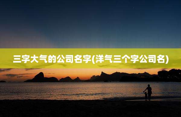 三字大气的公司名字(洋气三个字公司名)
