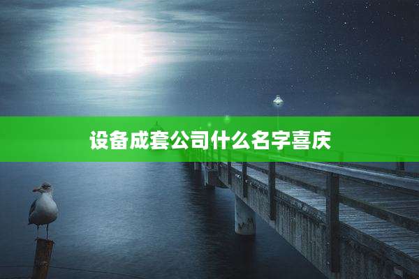 设备成套公司什么名字喜庆