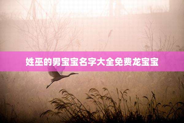 姓巫的男宝宝名字大全免费龙宝宝