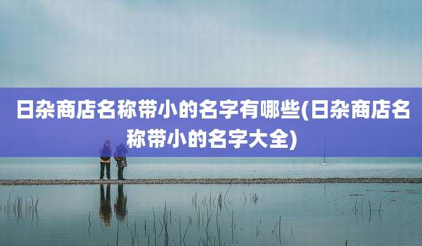 日杂商店名称带小的名字有哪些(日杂商店名称带小的名字大全)