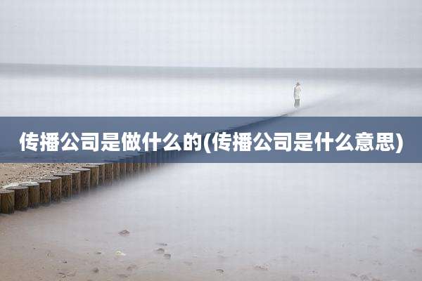 传播公司是做什么的(传播公司是什么意思)
