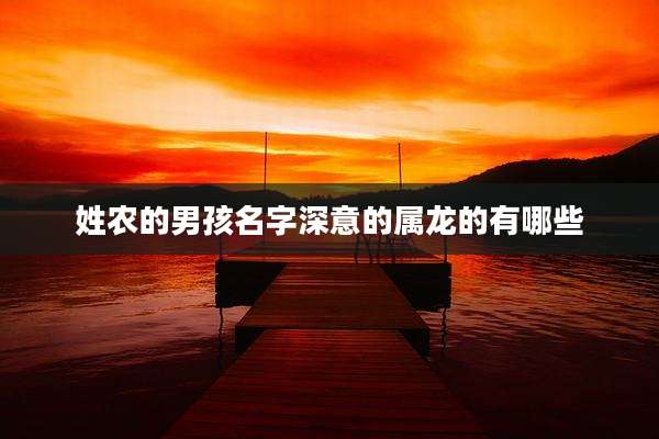 姓农的男孩名字深意的属龙的有哪些
