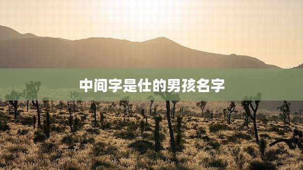 中间字是仕的男孩名字