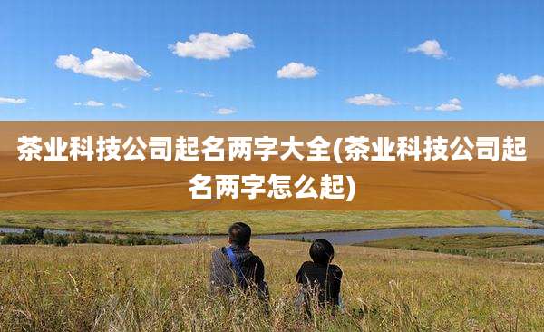 茶业科技公司起名两字大全(茶业科技公司起名两字怎么起)