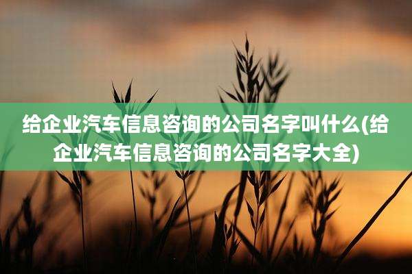 给企业汽车信息咨询的公司名字叫什么(给企业汽车信息咨询的公司名字大全)