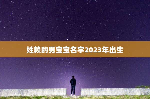 姓赖的男宝宝名字2023年出生