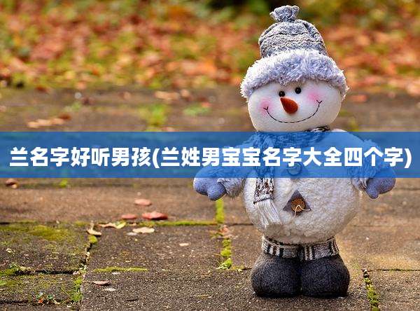 兰名字好听男孩(兰姓男宝宝名字大全四个字)