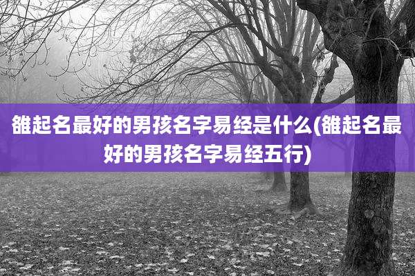雒起名最好的男孩名字易经是什么(雒起名最好的男孩名字易经五行)