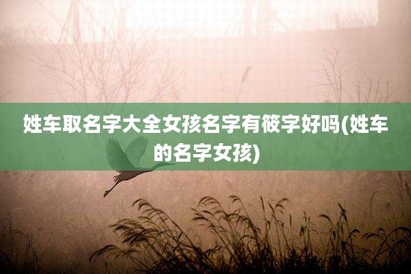 姓车取名字大全女孩名字有筱字好吗(姓车的名字女孩)