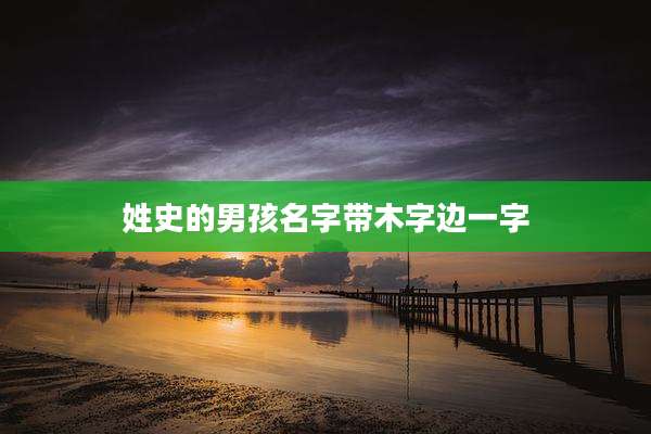 姓史的男孩名字带木字边一字