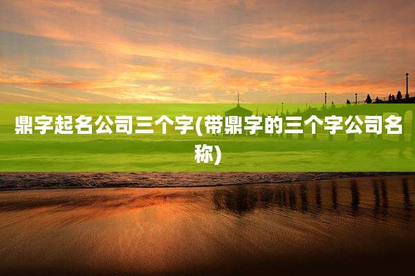 鼎字起名公司三个字(带鼎字的三个字公司名称)