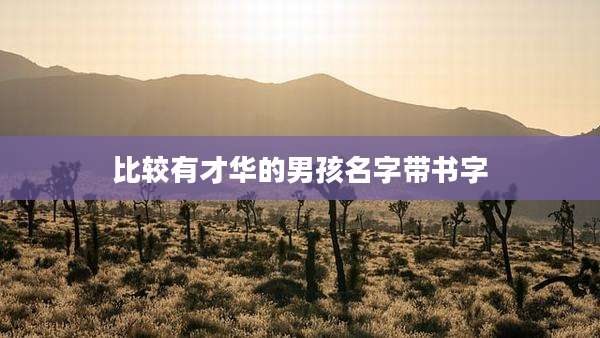 比较有才华的男孩名字带书字