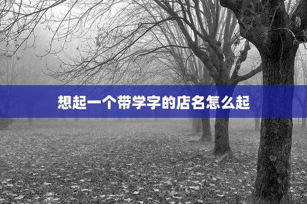 想起一个带学字的店名怎么起