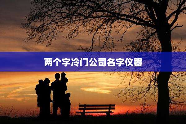 两个字冷门公司名字仪器
