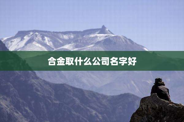 合金取什么公司名字好